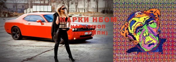 соль ск Володарск